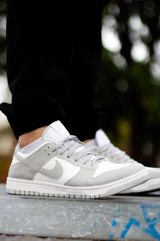 SB DUNK LOW